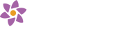 ImageBloom website design and marketing for clinical research industry